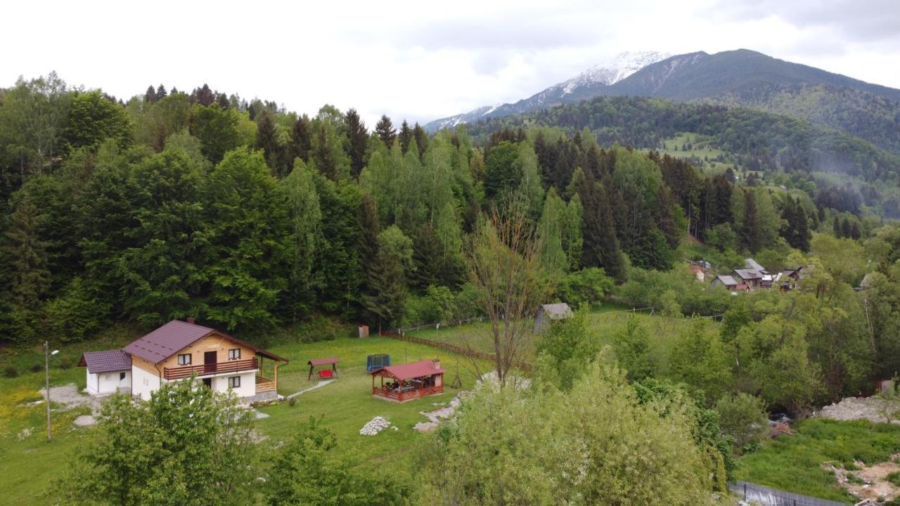 Pensiunea Floare De Colt Moisei Exteriör bild