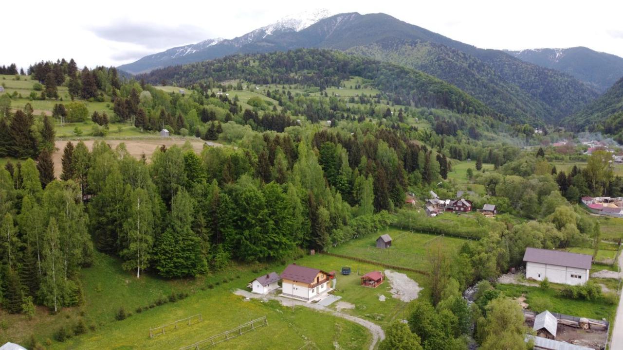 Pensiunea Floare De Colt Moisei Exteriör bild