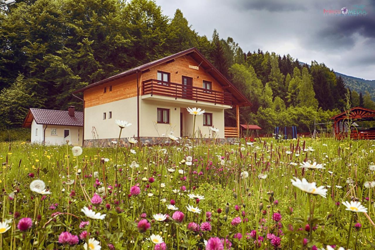 Pensiunea Floare De Colt Moisei Exteriör bild