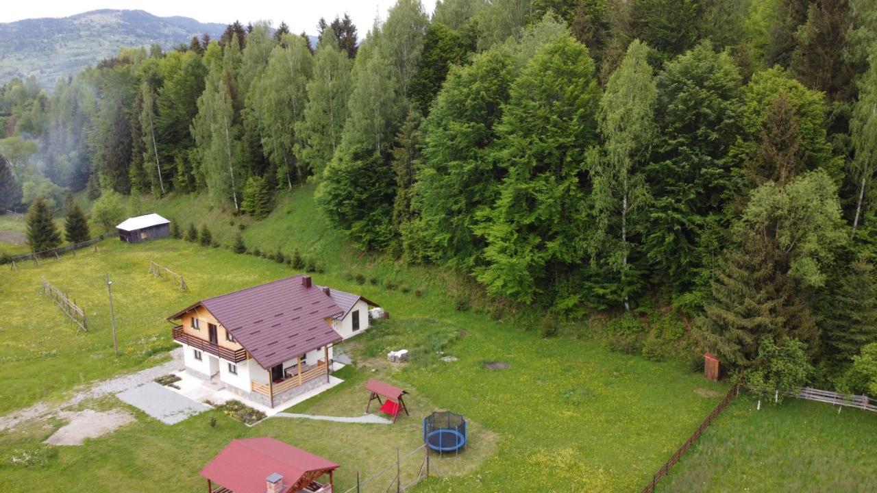 Pensiunea Floare De Colt Moisei Exteriör bild