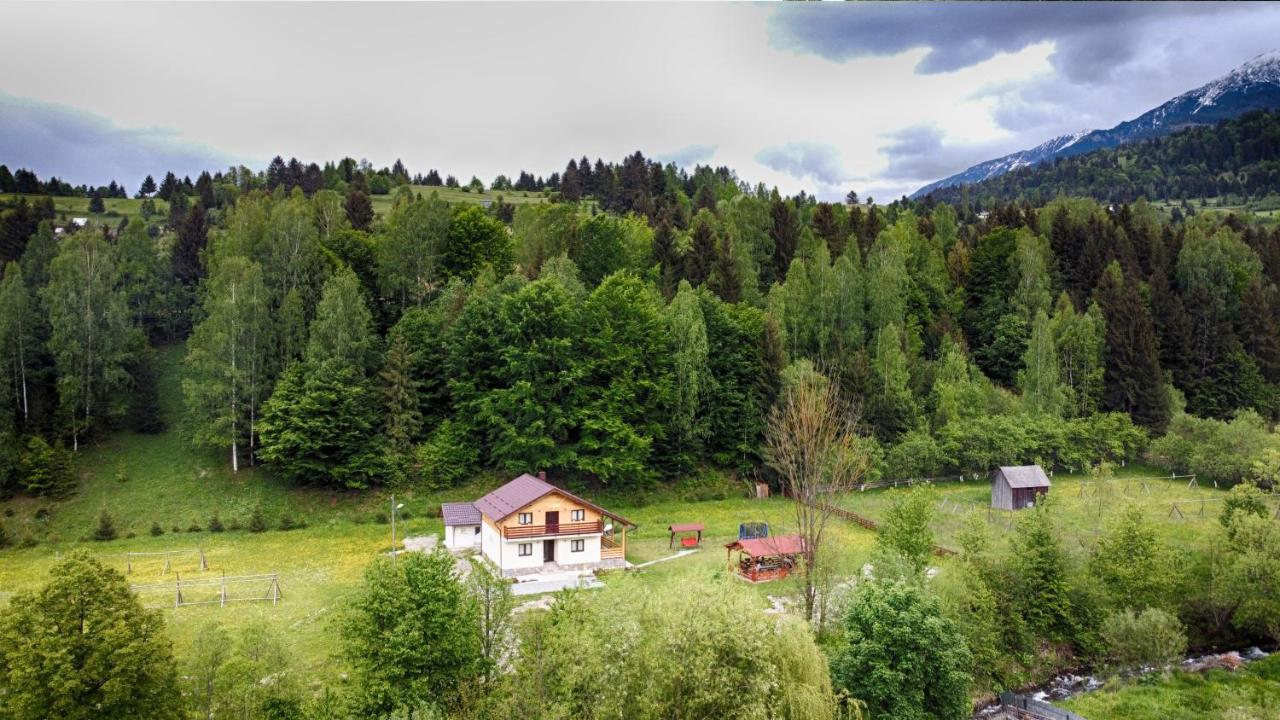 Pensiunea Floare De Colt Moisei Exteriör bild