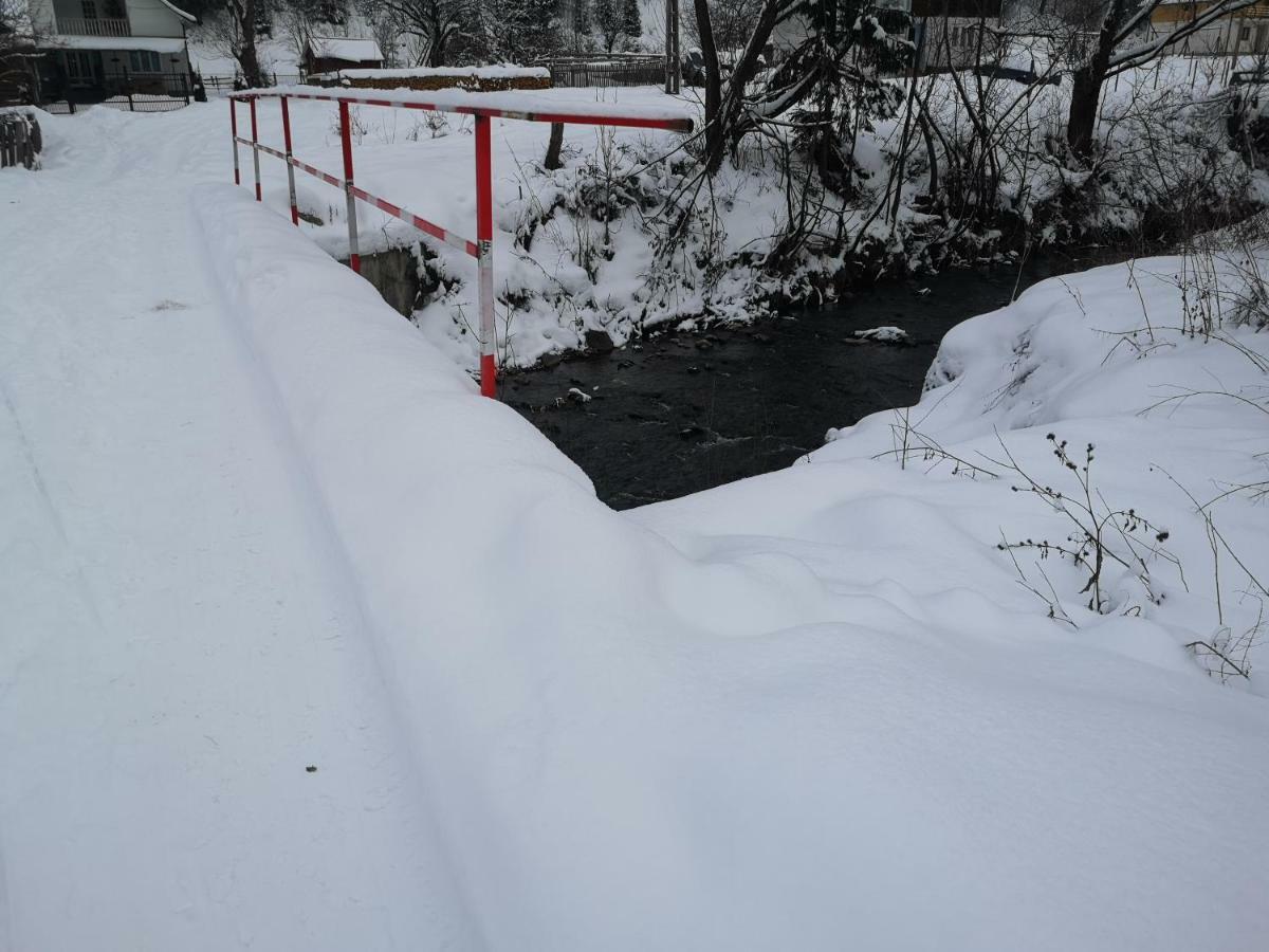 Pensiunea Floare De Colt Moisei Exteriör bild