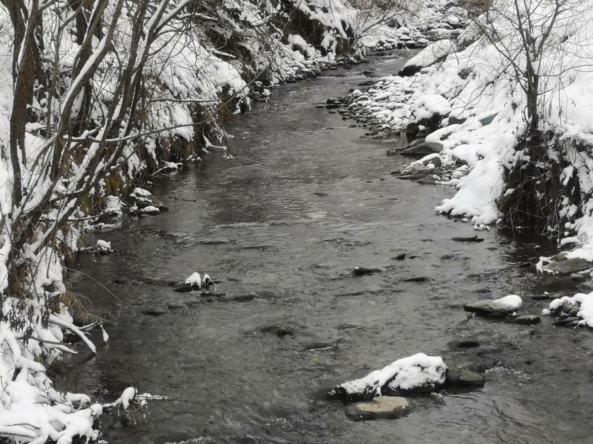 Pensiunea Floare De Colt Moisei Exteriör bild